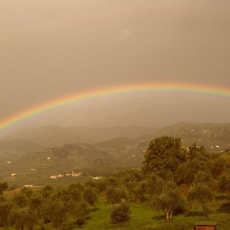 Casale Camaiore Villa Capannori Dış mekan fotoğraf