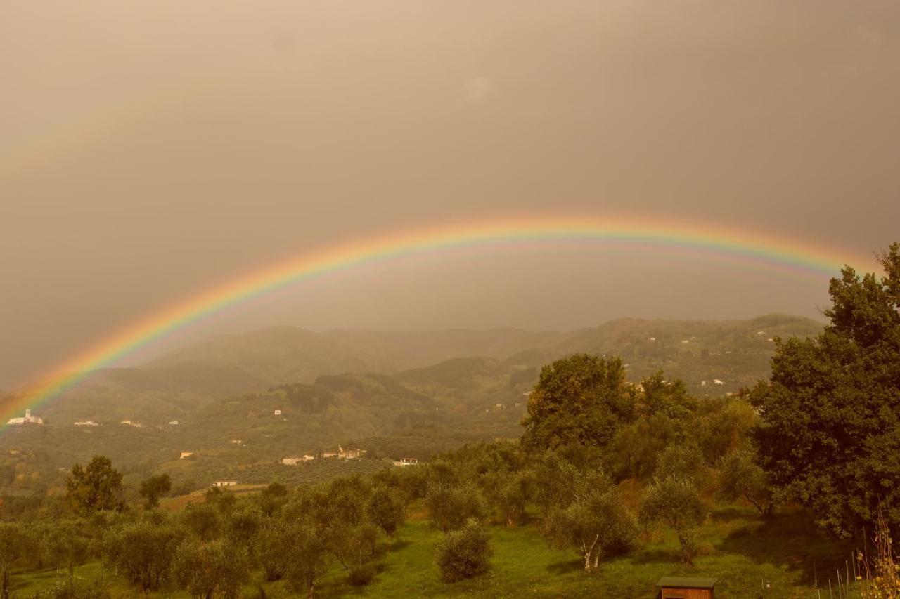 Casale Camaiore Villa Capannori Dış mekan fotoğraf