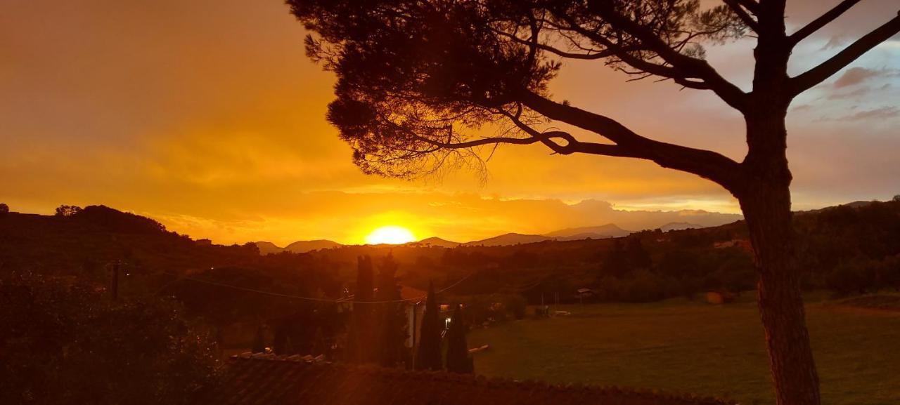 Casale Camaiore Villa Capannori Dış mekan fotoğraf